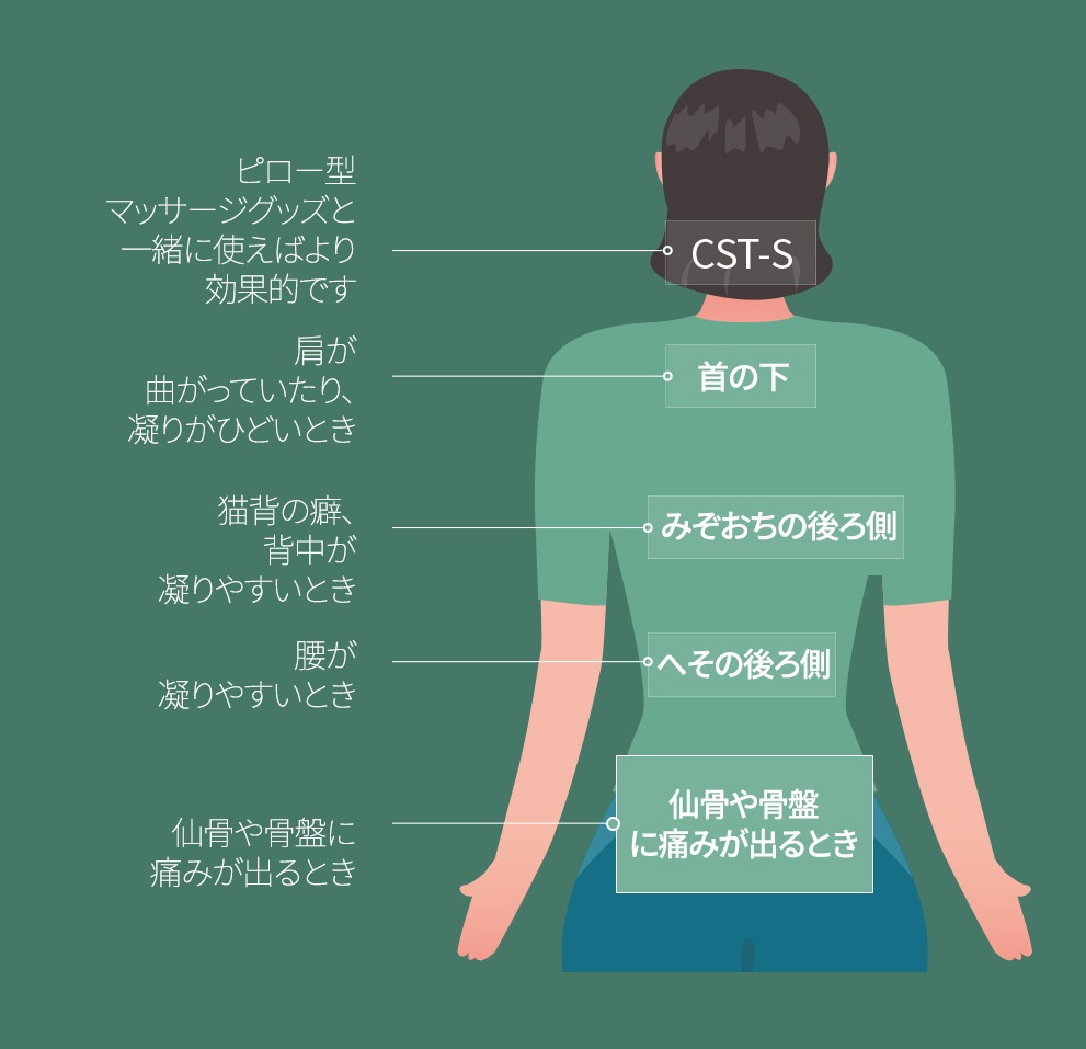 Spine Balancer Jinbiotech Co Ltd Jinbiotech